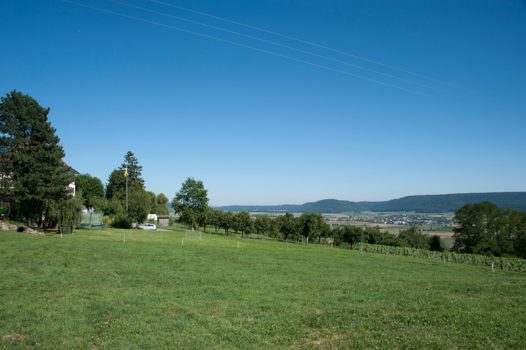 Berghof Hallau Aussicht