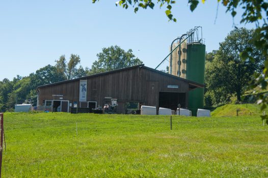 Berghof Hallau Bild von Stallungen