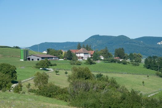 Berghof Hallau Bild vom Berghof Hallau