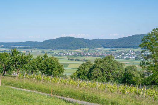 Berghof Hallau Aussicht